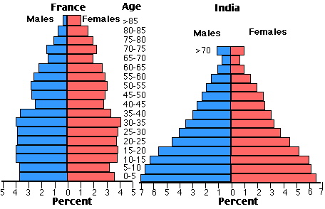 IELTS Writing Task 1 - Age structure of populations in Two Countries