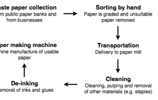 IELTS Writing Task 1 - Process of waste paper recycling