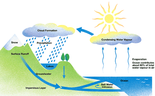 IELTS Writing Task 1 - Water cycle, which is continuous movement of water
